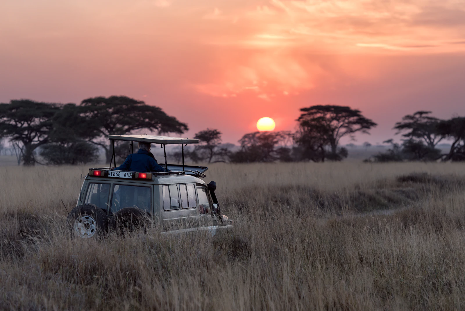 De Serengeti in Tanzania bij zonsondergang