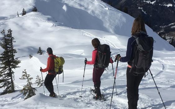Bergwandel- en sneeuwschoenreizen