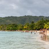 Comit'r du tourisme Martiniquais
