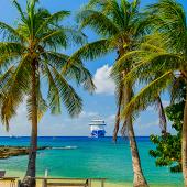 tourist board Cayman islands