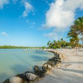 Florida Tourism Board Visit Florida