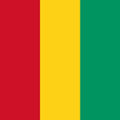 Ambassade van de Republiek Guinee