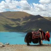 Tourism Bureau of Tibet